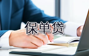 黔西南保单贷