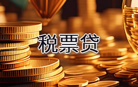 黔西南税票贷